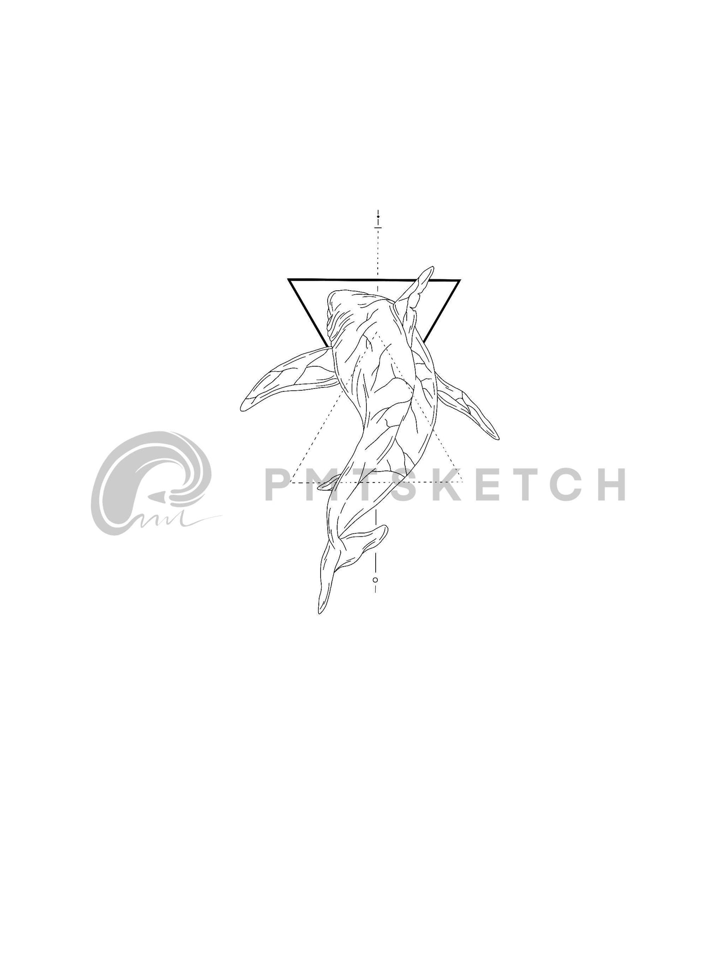 Shark / Triangles