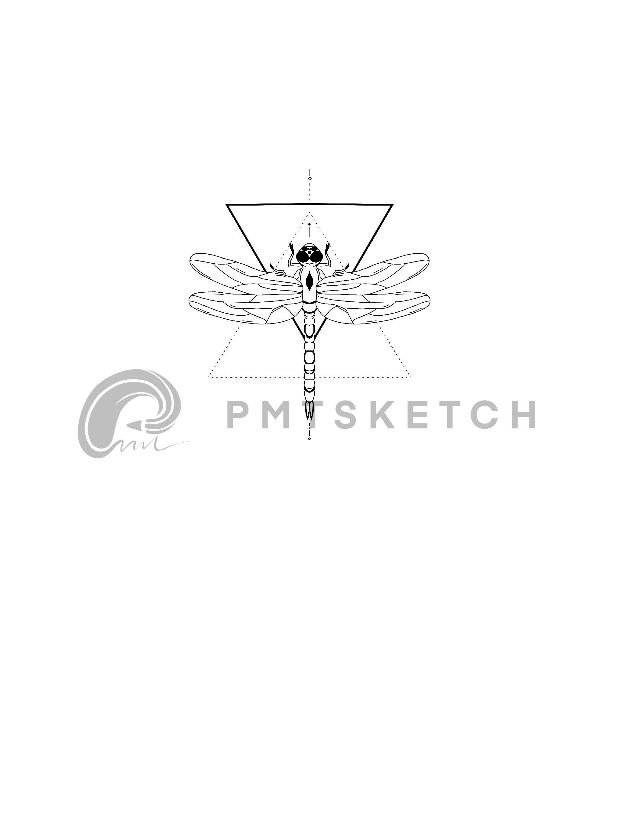 Dragon-fly / Triangle