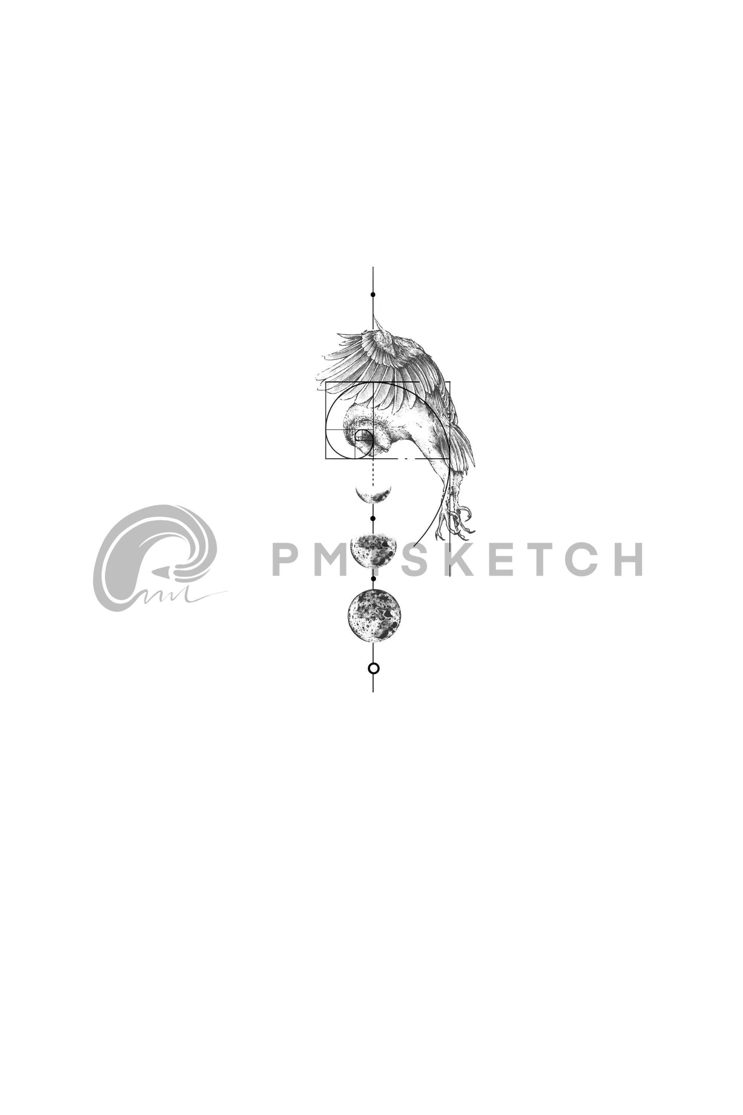 Owl / Golden Ratio / Moon Phases