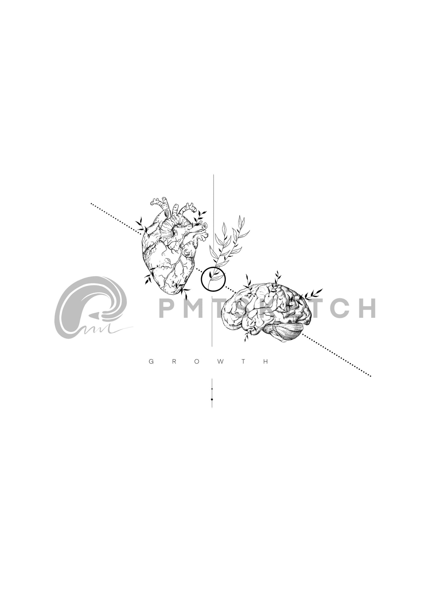 Heart / Brain / Growth