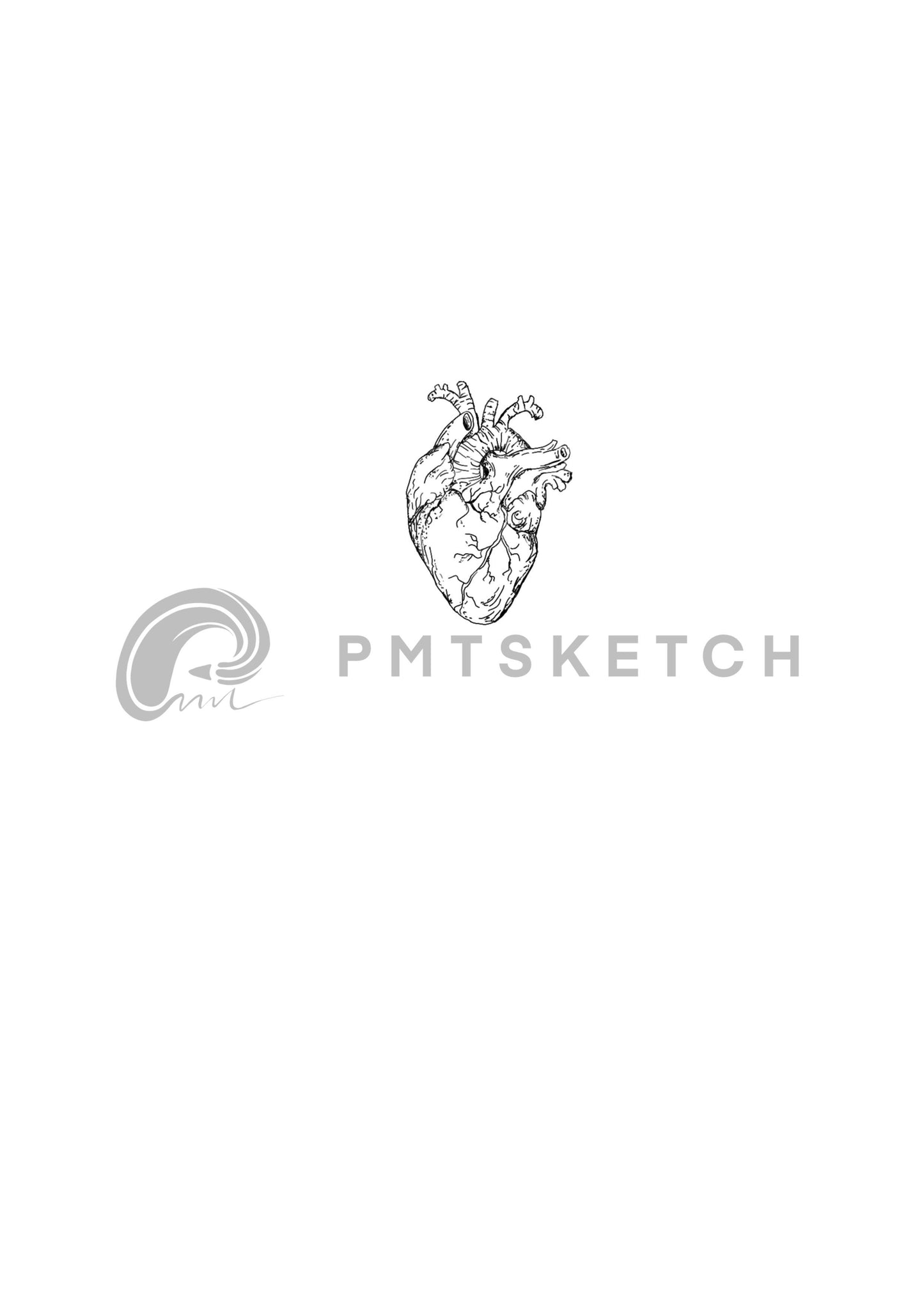 Anatomical Heart