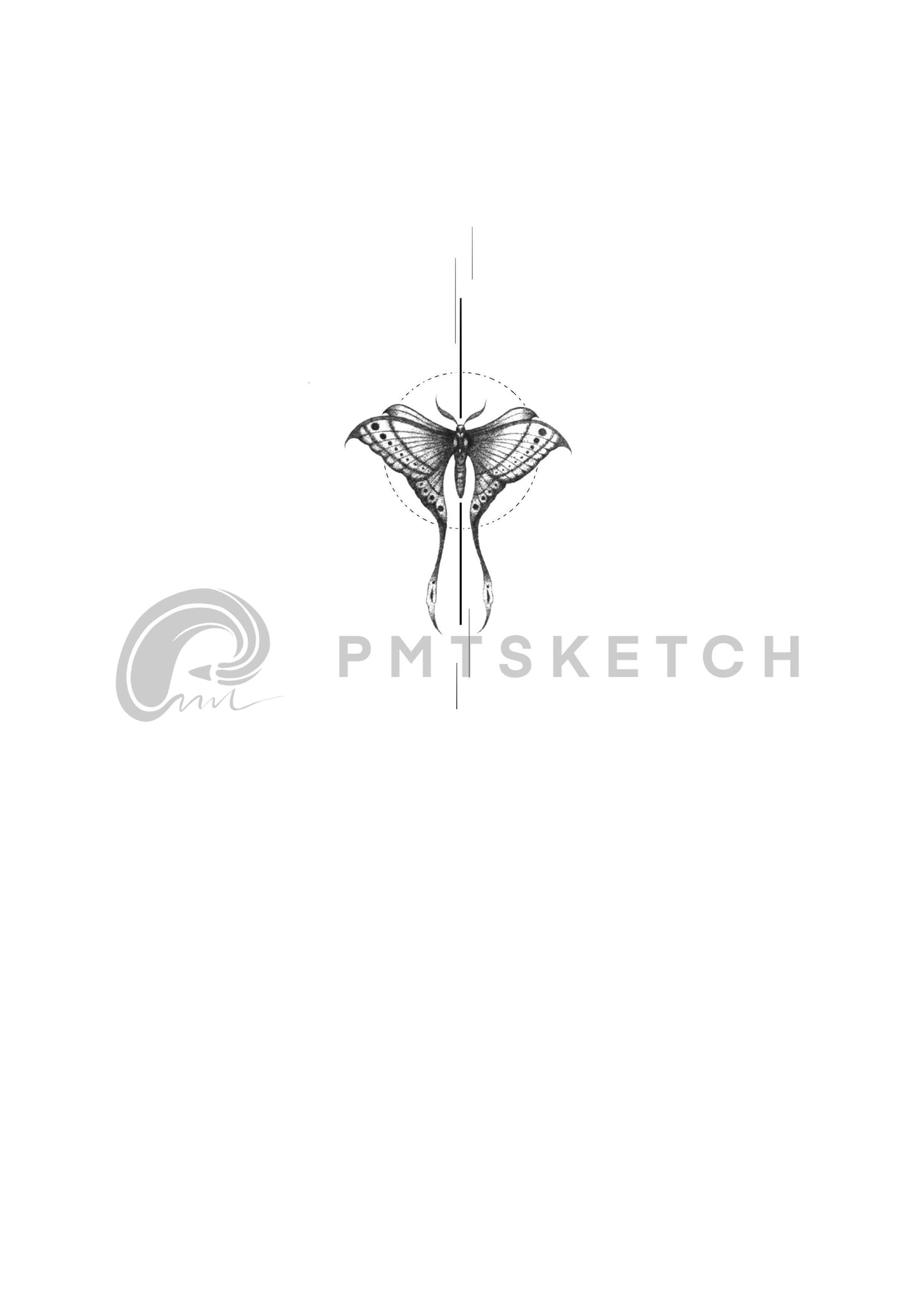 Small Moth