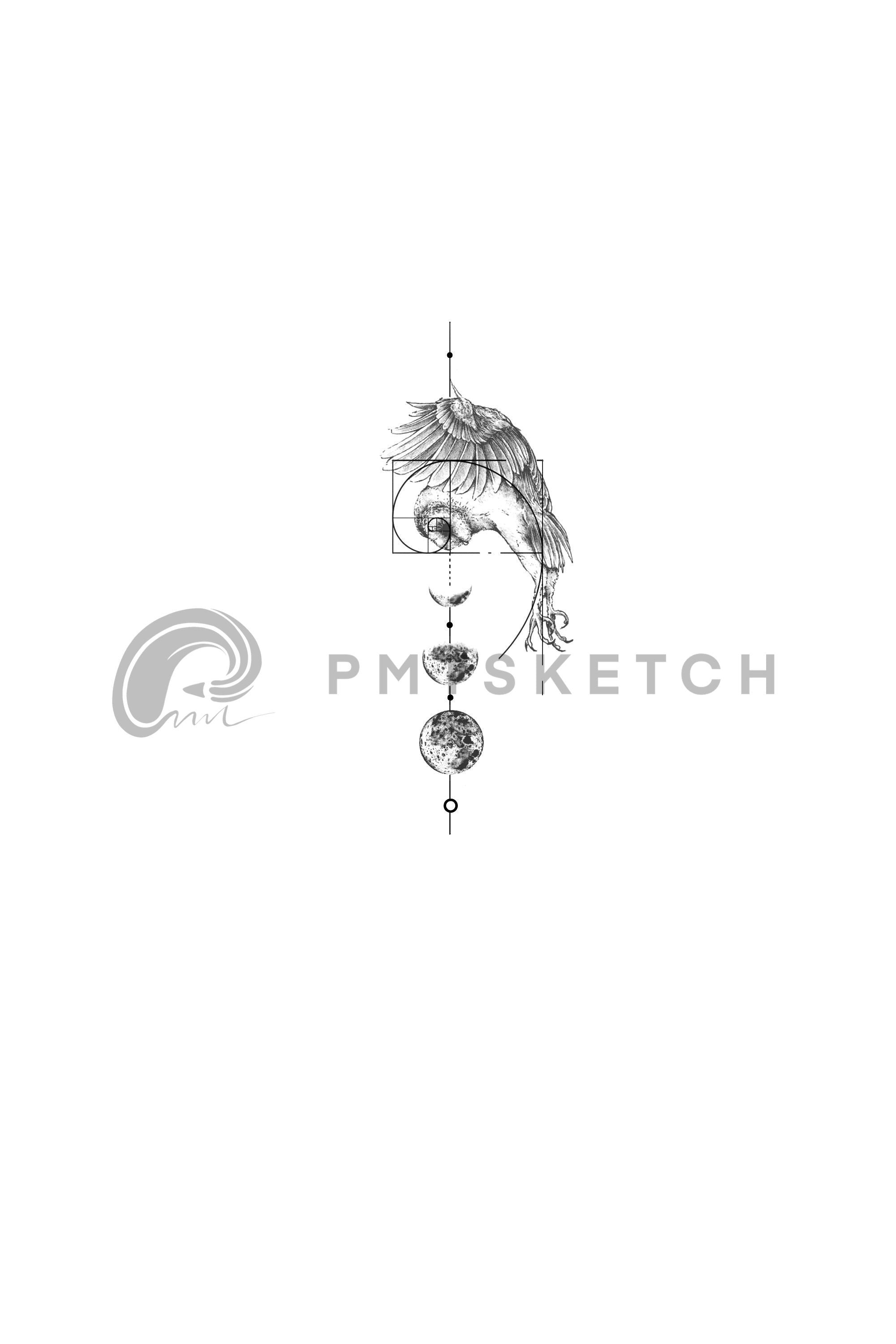 Owl / Golden Ratio / Moon Phases