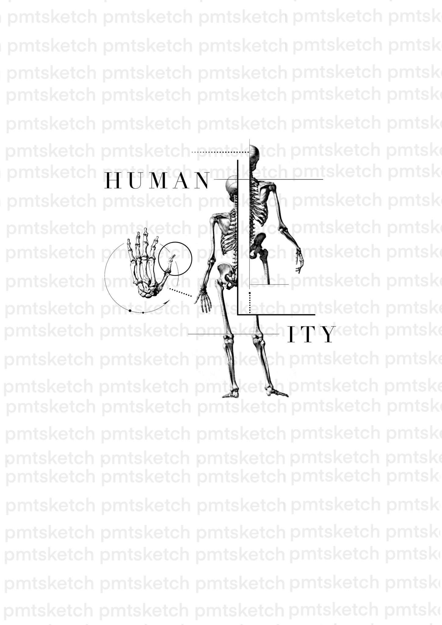 Humanity / Anatomic