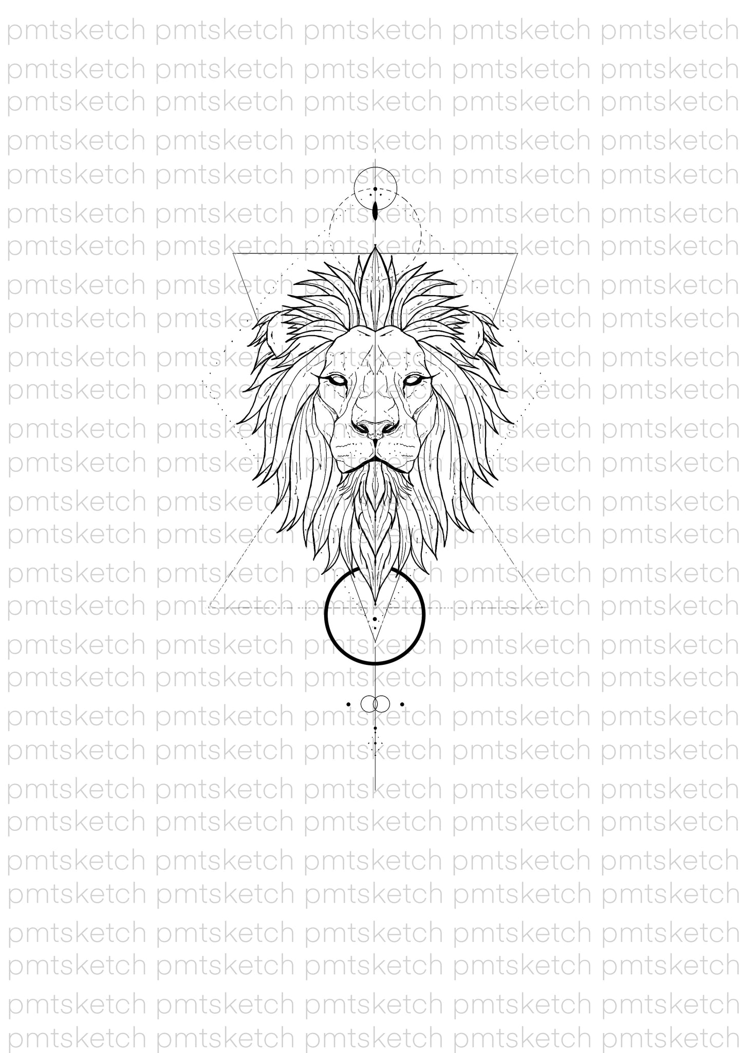 Geometrical Lion