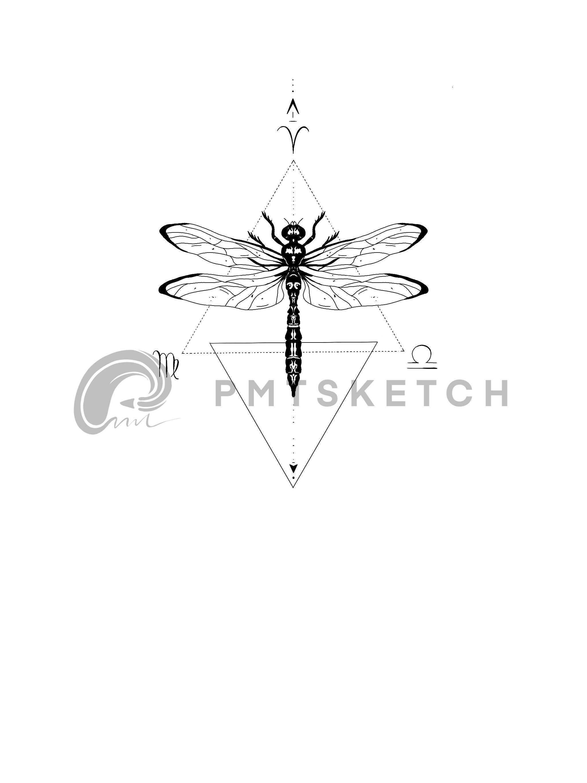 Dragonfly / Zodiacs