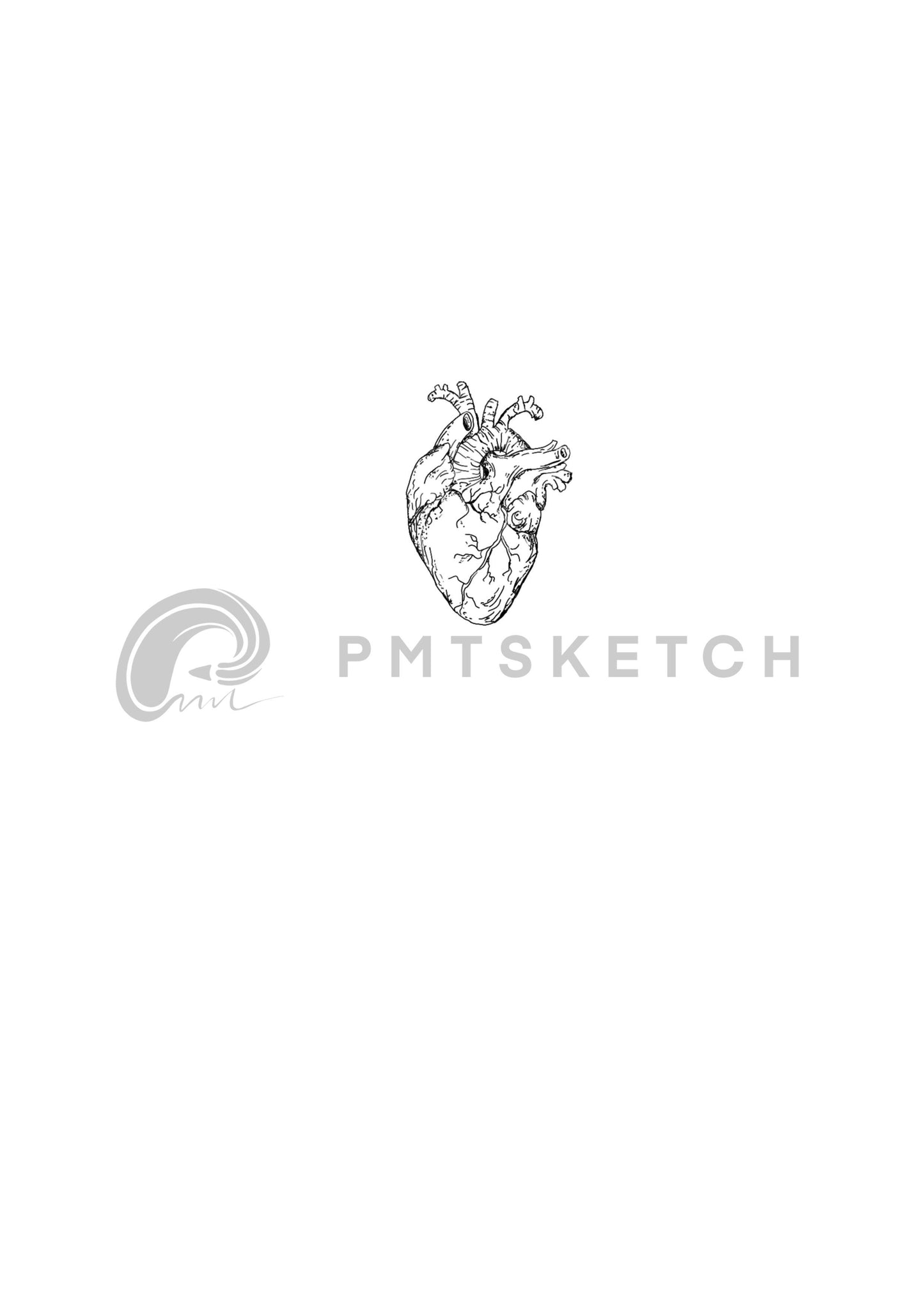 Anatomical Heart