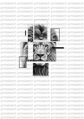 Geometrical / Lion