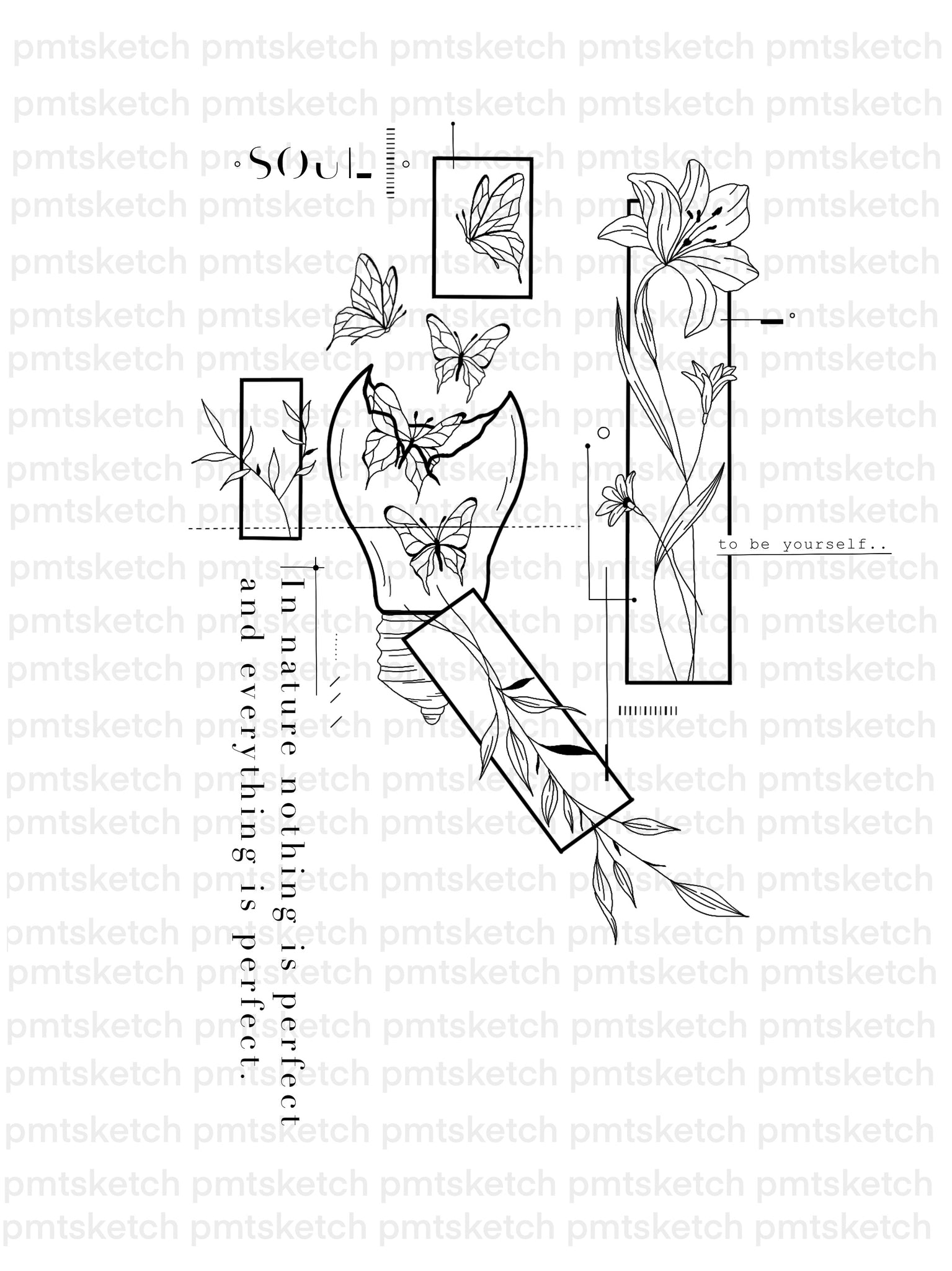 Flower Structure And Reproduction Worksheet Answers Coloring Best