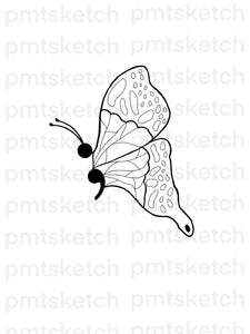Semi-Colon / Butterfly