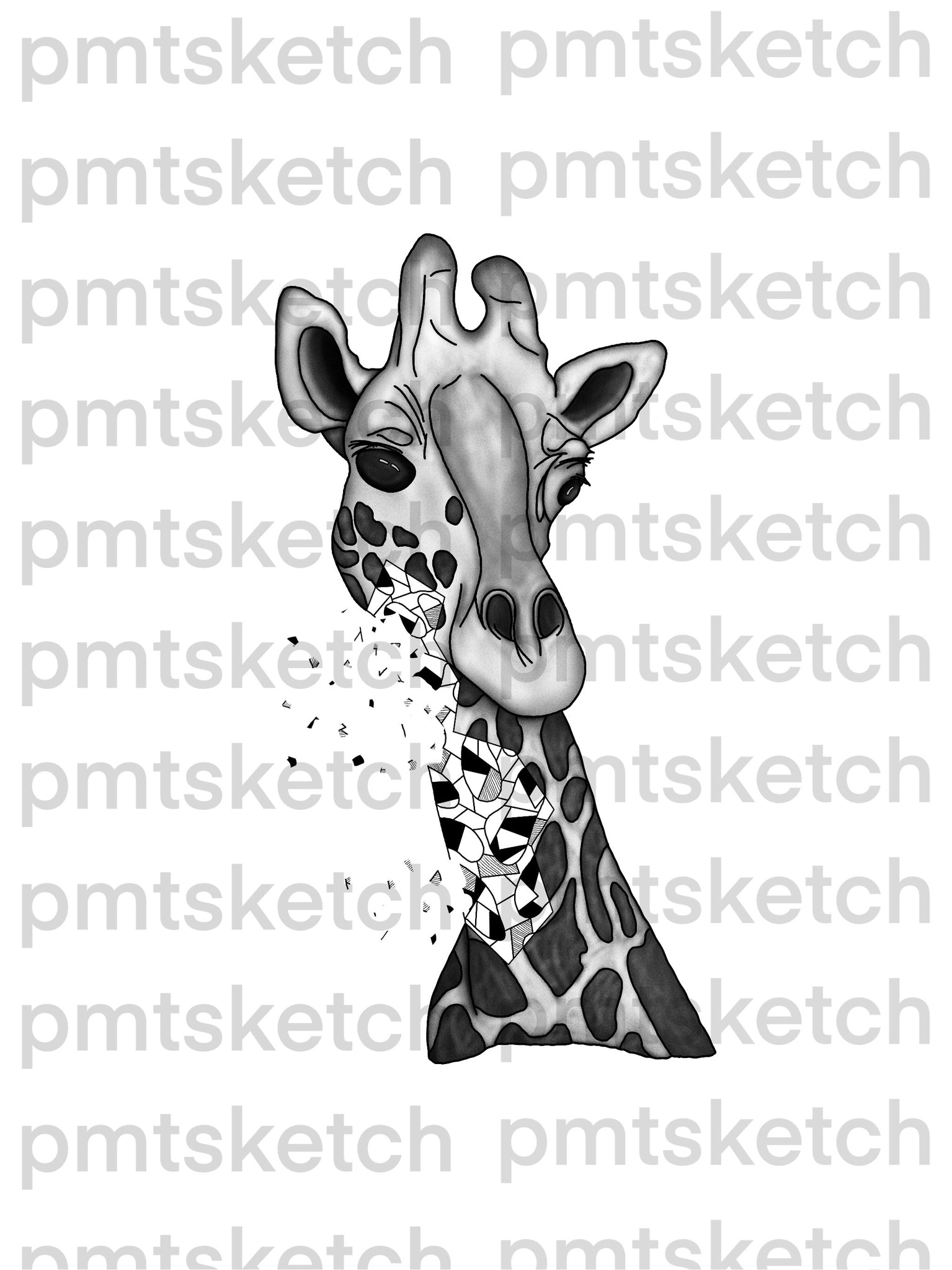Shaded Giraffe