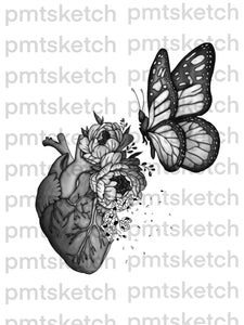 Shaded Butterfly + Human Heart