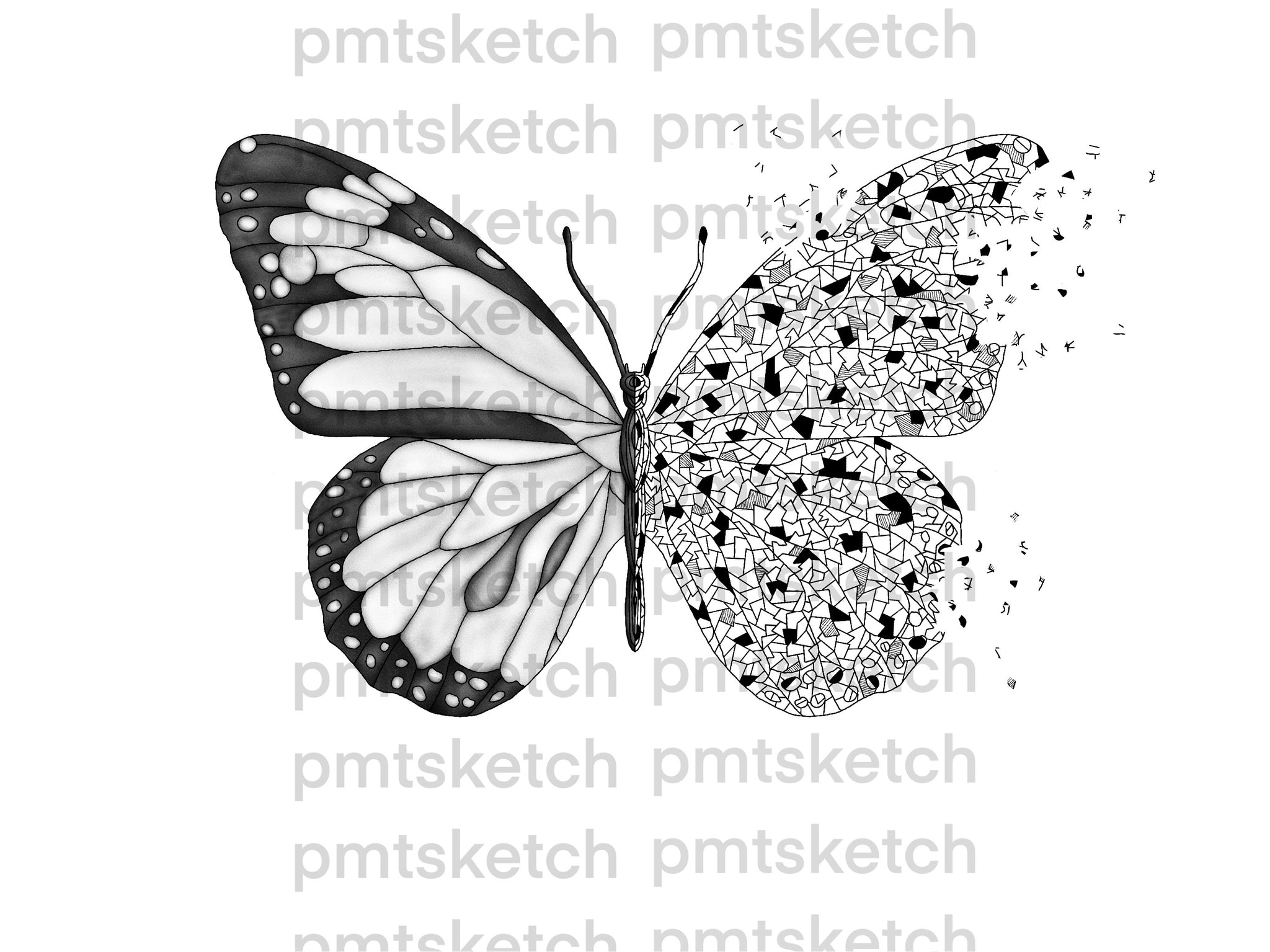 Shaded Butterfly