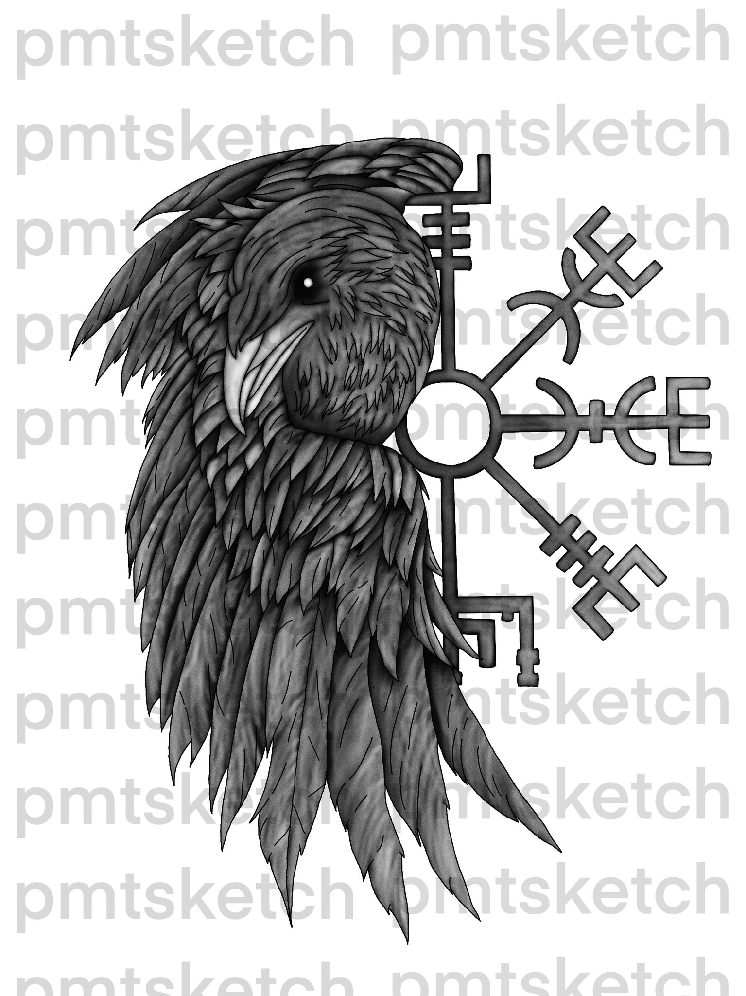 Shaded Raven / Norse