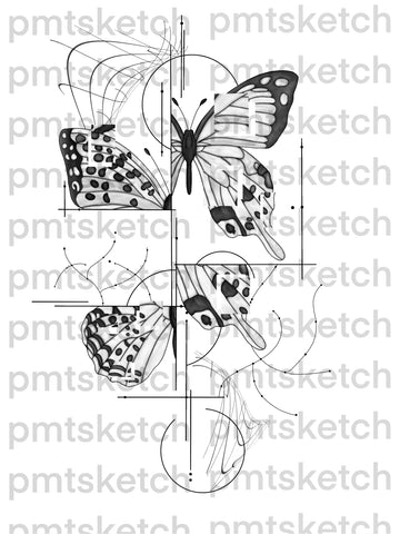 Shaded abstract Butterfly