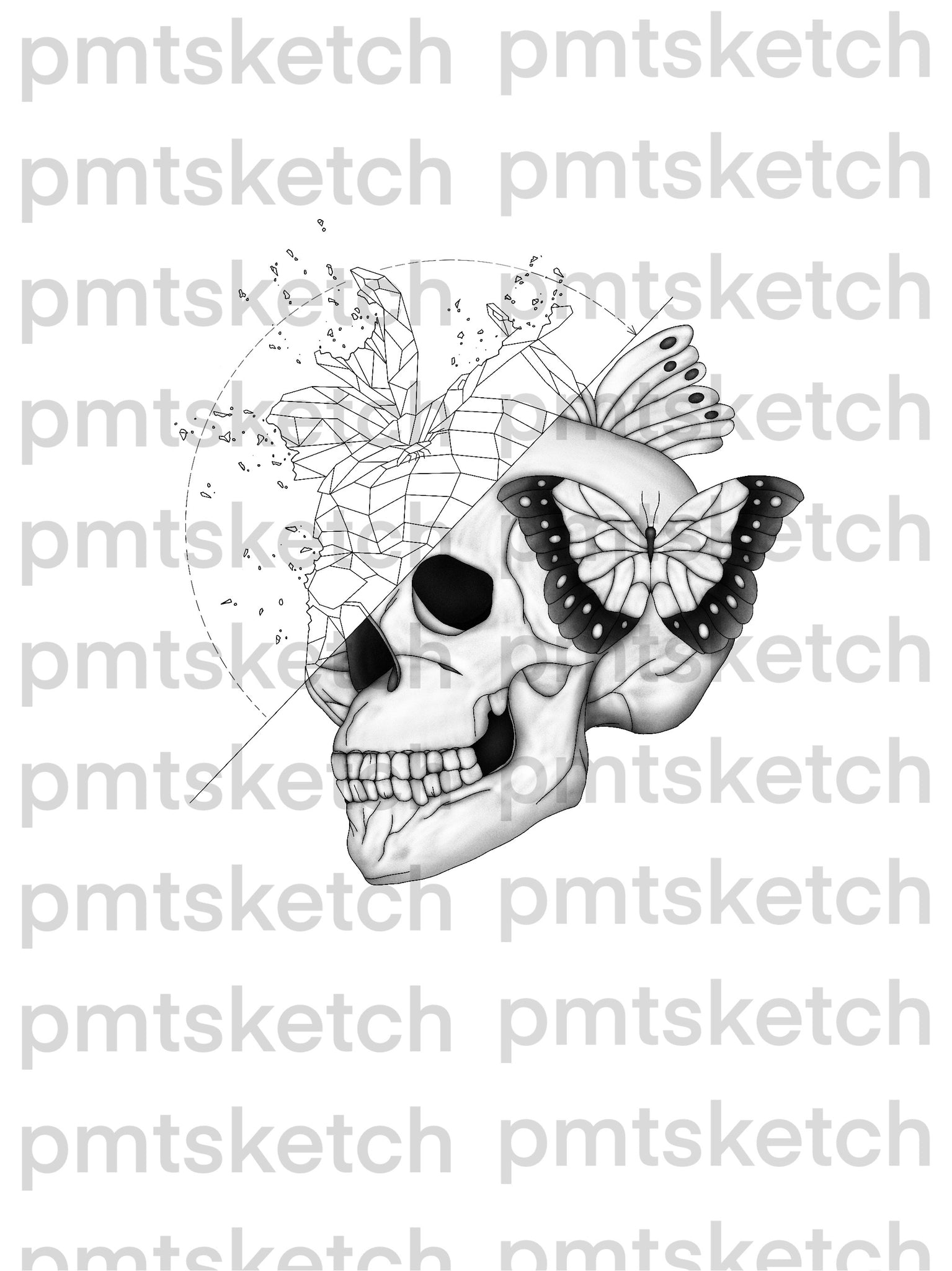 Shaded Skull / Butterfly / Abstract