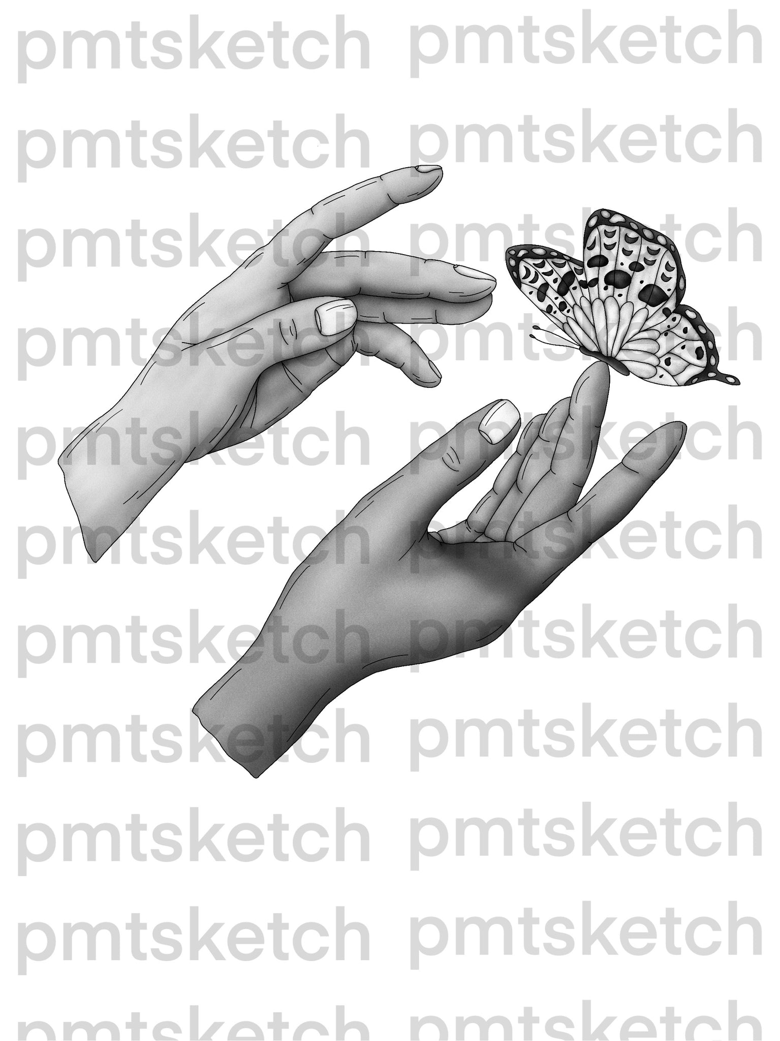Shaded Hands / Butterfly