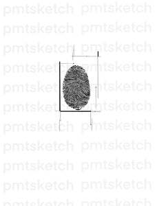 Fingerprint / Lines
