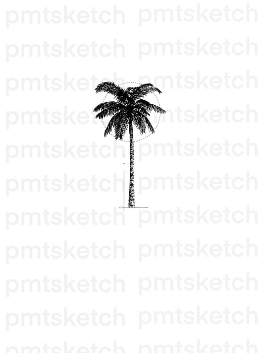 Palm Tree