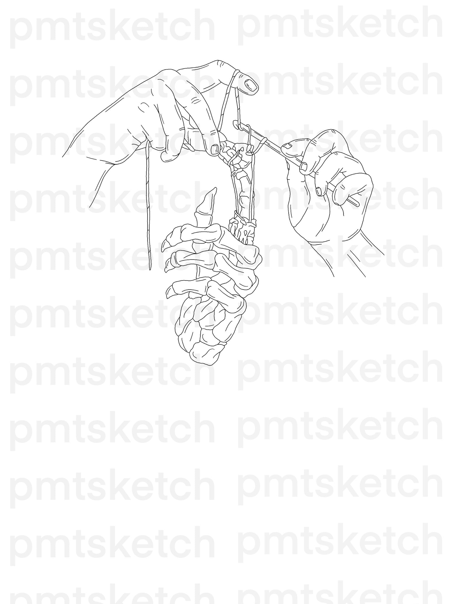Hands / Knit / Skeleton