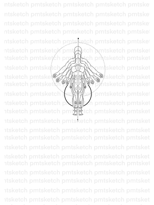 Perfect Human / Simulation / Abstract